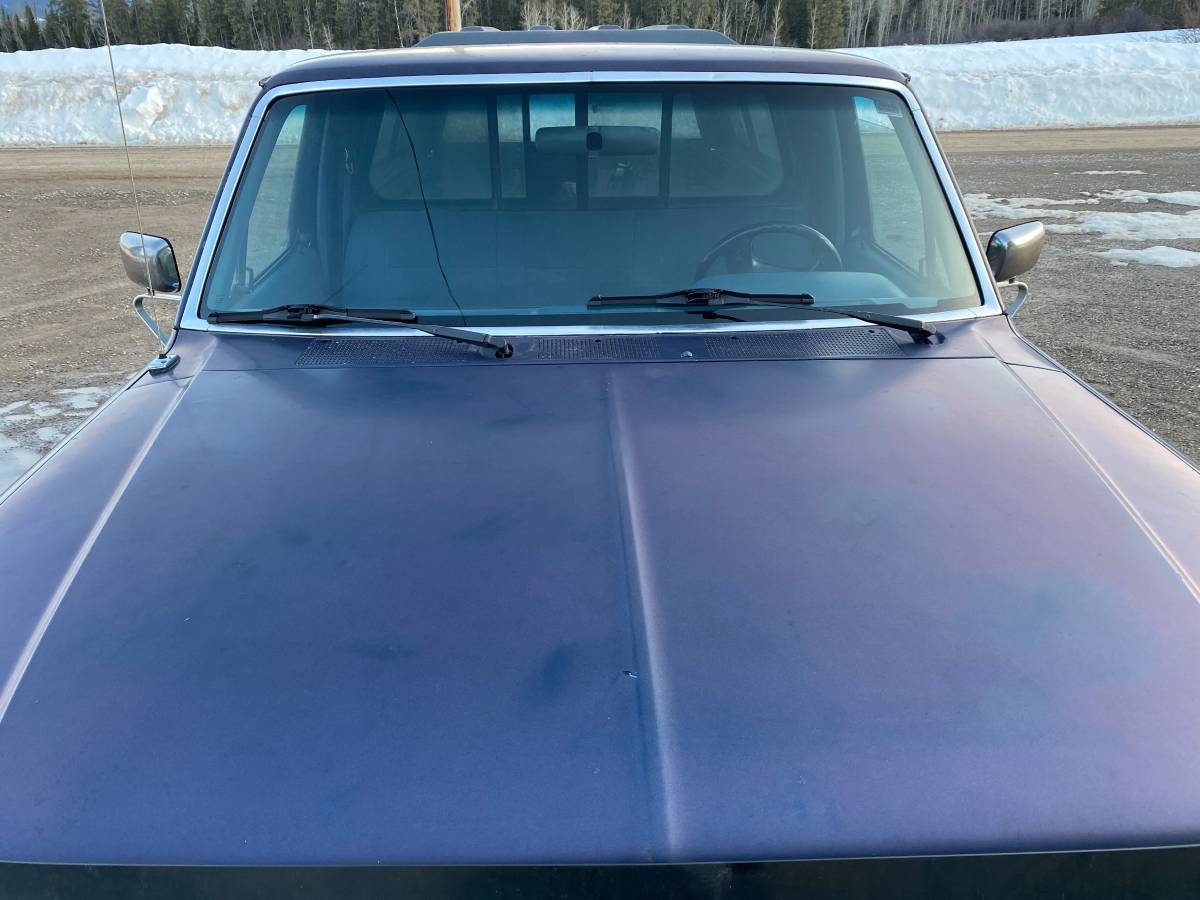 Ford-f-150-4wd-long-bed-1988-blue-15