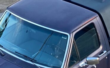 Ford-f-150-4wd-long-bed-1988-blue-2