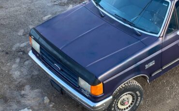 Ford-f-150-4wd-long-bed-1988-blue