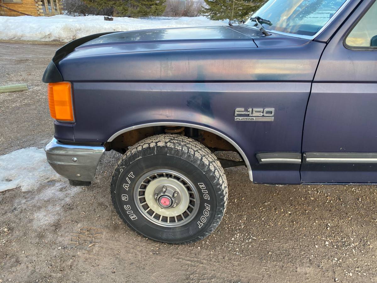 Ford-f-150-4wd-long-bed-1988-blue-9