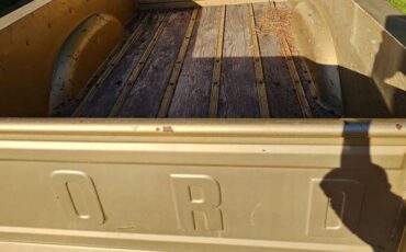 Ford-f-150-ranger-xlt-1980-4