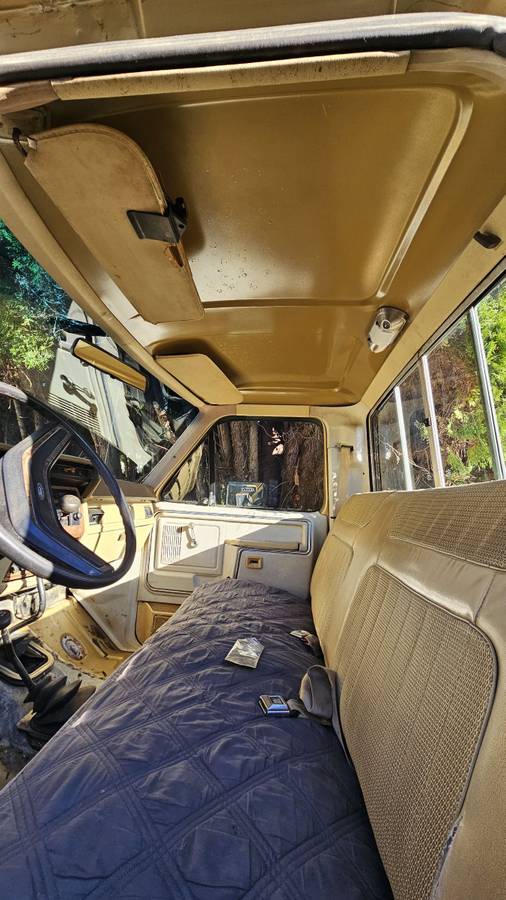 Ford-f-150-ranger-xlt-1980-5