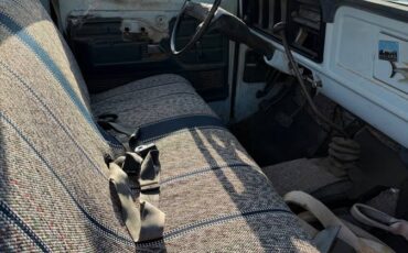 Ford-f-250-1976-blue-8