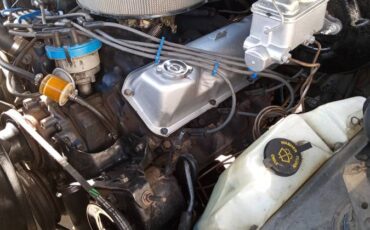 Ford-f-250-1977-8