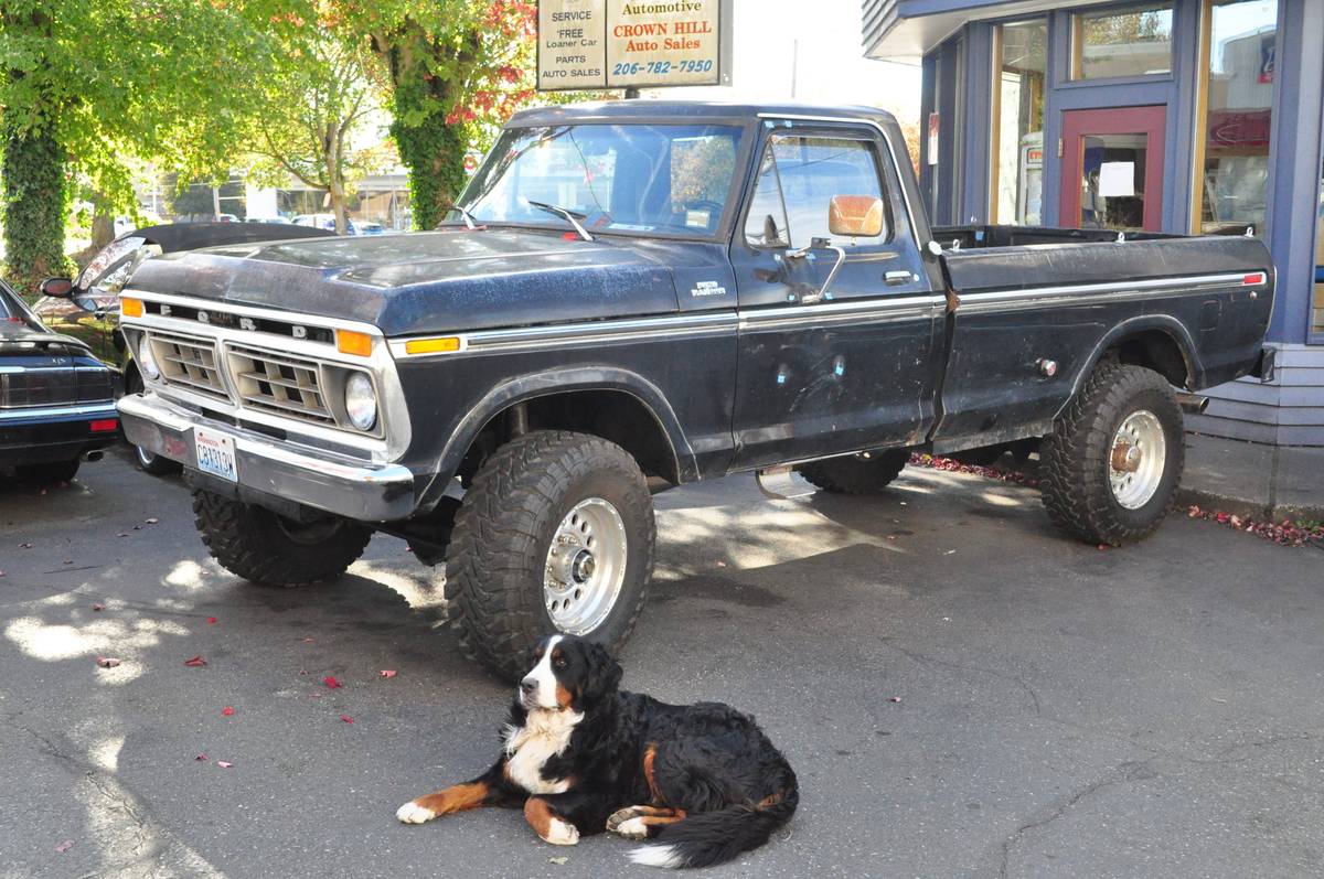 Ford-f-250-1977-black-5