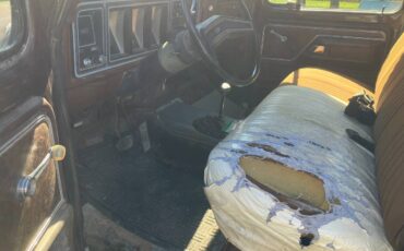 Ford-f-250-1978-brown-5