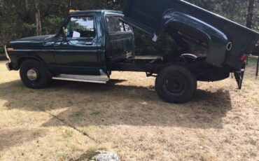 Ford-f-250-1978-green-13