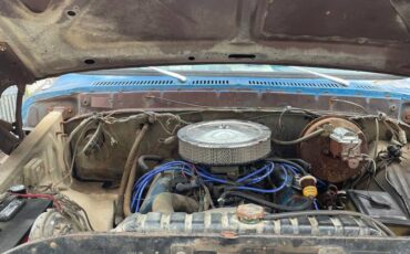 Ford-f-250-1979-blue