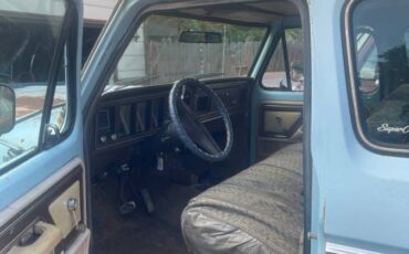 Ford-f-250-1979-blue-3