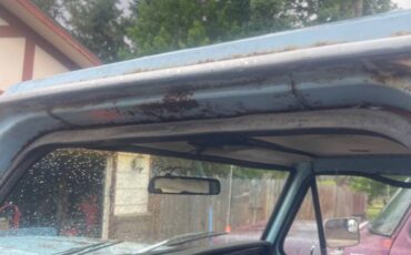 Ford-f-250-1979-blue-7