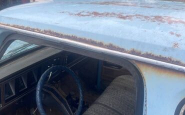 Ford-f-250-1979-blue-8