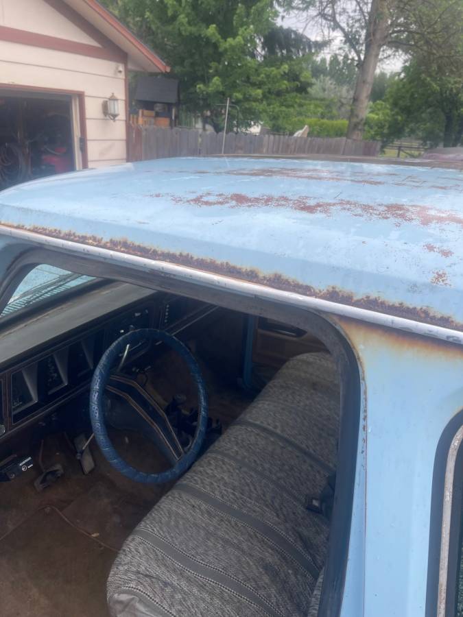 Ford-f-250-1979-blue-8
