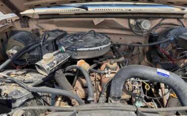 Ford-f-250-1984-blue-4