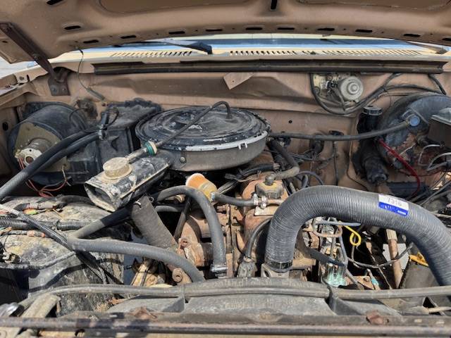 Ford-f-250-1984-blue-4