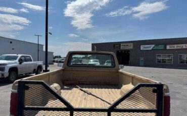 Ford-f-250-1984-blue-5