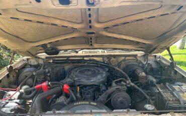Ford-f-250-1985-brown-1