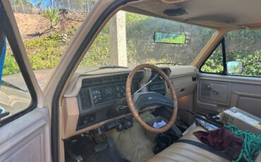 Ford-f-250-1985-brown-4