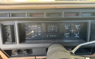 Ford-f-250-1985-brown-5