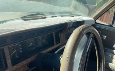 Ford-f-250-1986-brown-4