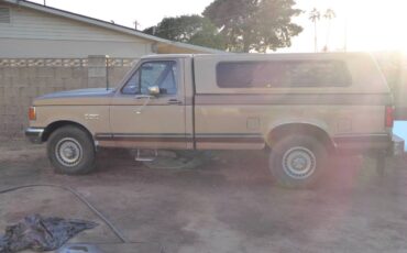 Ford-f-250-1987-brown-5