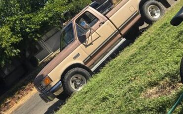 Ford-f-250-1987-brown