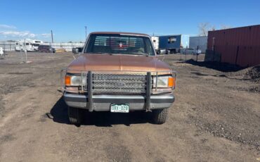 Ford-f-250-1988-brown-2