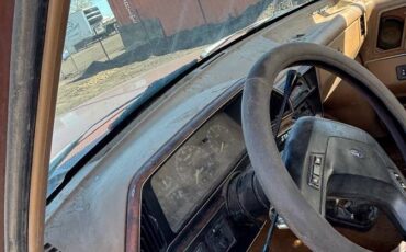 Ford-f-250-1988-brown-20