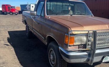 Ford-f-250-1988-brown-3