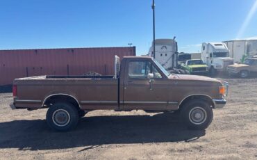 Ford-f-250-1988-brown-4