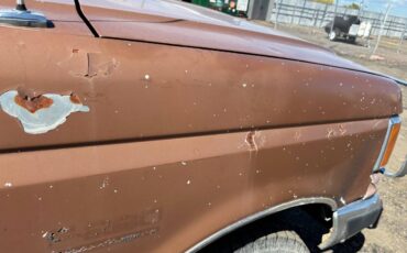 Ford-f-250-1988-brown-6