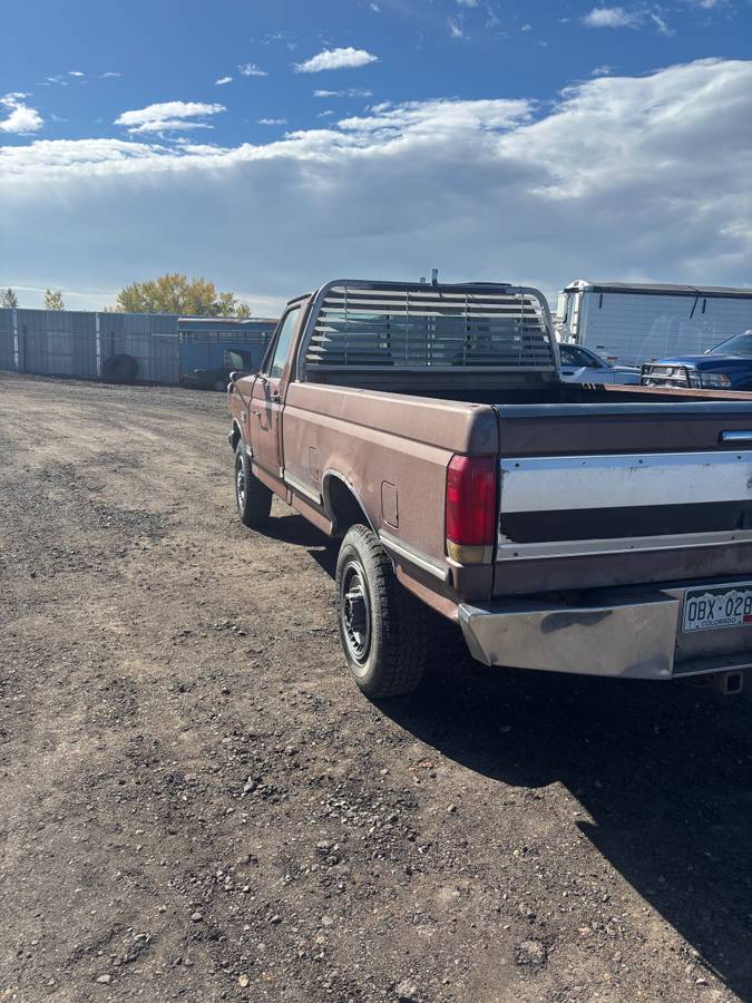Ford-f-250-1988-brown-9