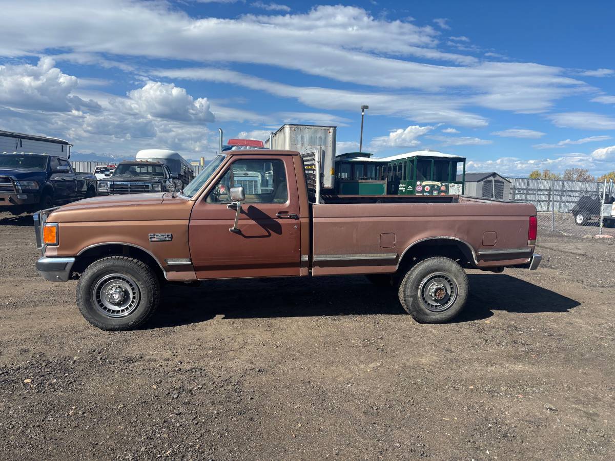 Ford-f-250-1988-brown