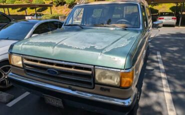 Ford-f-250-1989-3