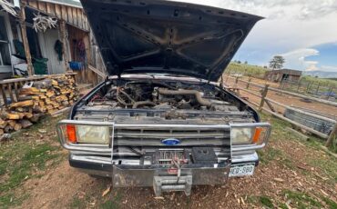 Ford-f-250-1989-blue-2