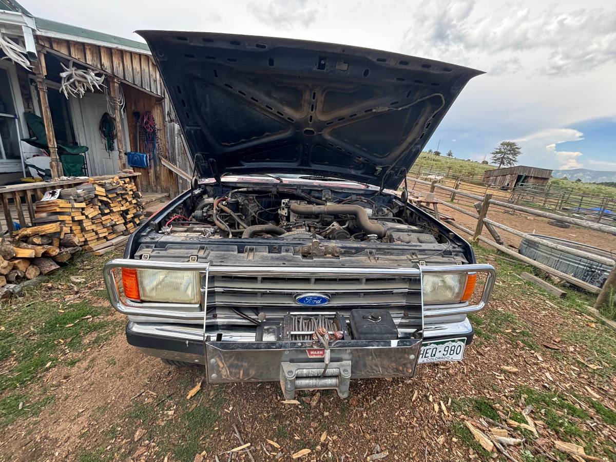 Ford-f-250-1989-blue-2
