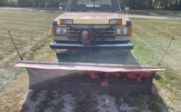 Ford-f-250-1989-brown-1