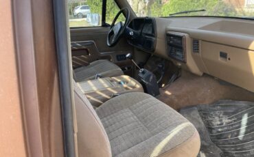 Ford-f-250-1989-brown-3