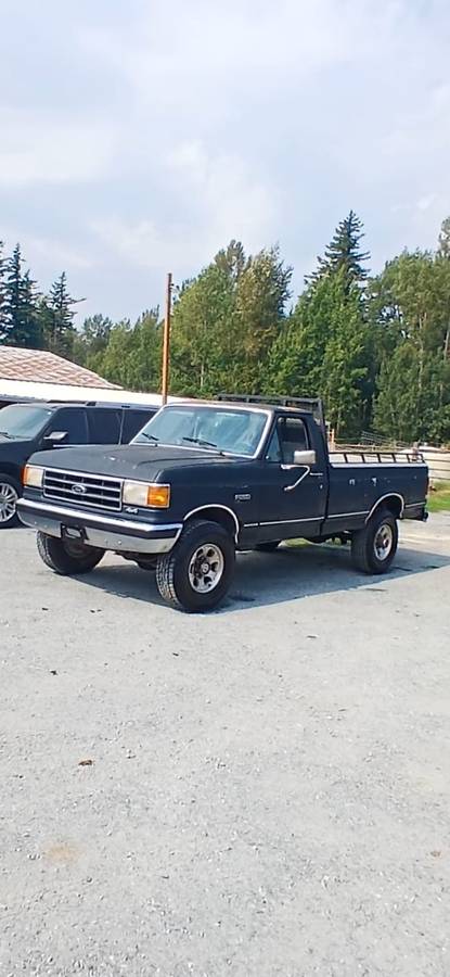 Ford-f-250-1990-9