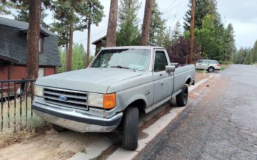 Ford-f-250-1990-grey