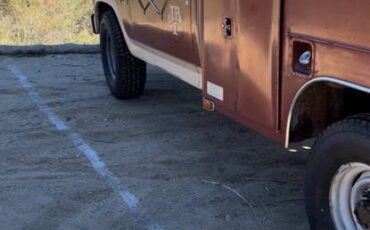Ford-f-250-diesel-1985-brown-10