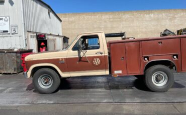 Ford-f-250-diesel-1985-brown-13