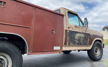 Ford-f-250-diesel-1985-brown-15