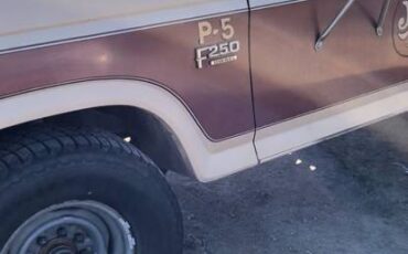 Ford-f-250-diesel-1985-brown-18