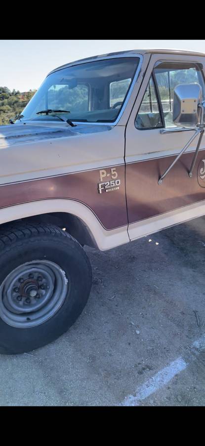 Ford-f-250-diesel-1985-brown-18