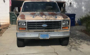 Ford-f-250-diesel-1985-brown-19