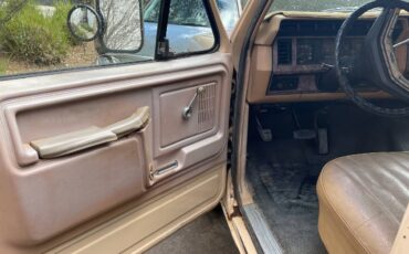 Ford-f-250-diesel-1985-brown-2