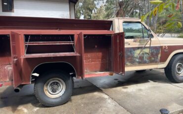 Ford-f-250-diesel-1985-brown-20