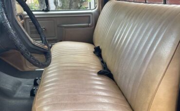 Ford-f-250-diesel-1985-brown-4