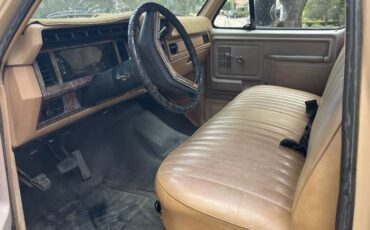 Ford-f-250-diesel-1985-brown-5