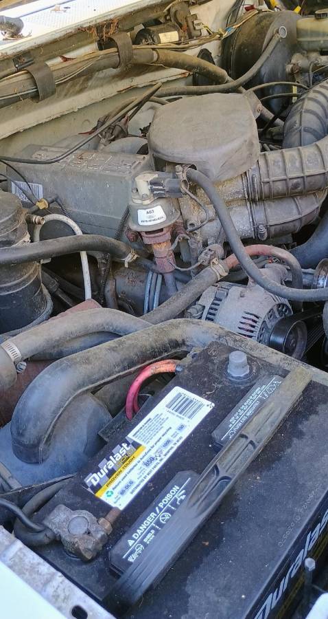 Ford-f-250-xl-1995-white-2